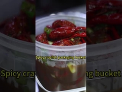 Прозрачные пластиковые ведра с крышками